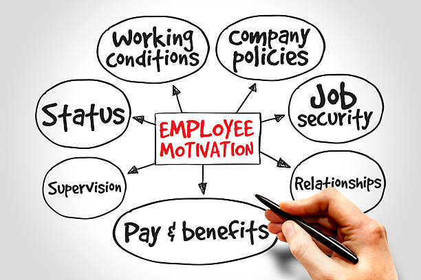 CIPD Assignment Writing Employee Motivation Strategies