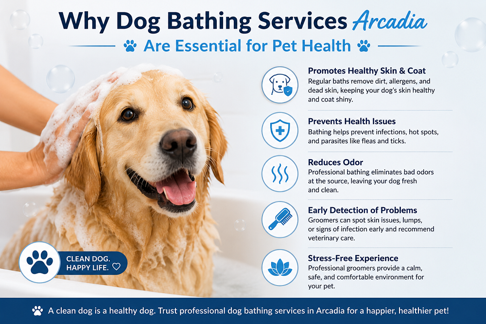 Why Dog Bathing Services Arcadia Are Essential for Pet Health
