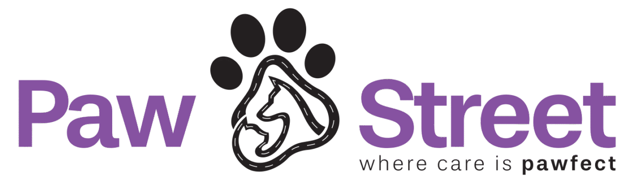 Cat Boarding Dubai & Pet Boarding Dubai – A Complete Guide for Pet Parents