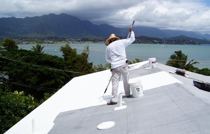 Roof Painting