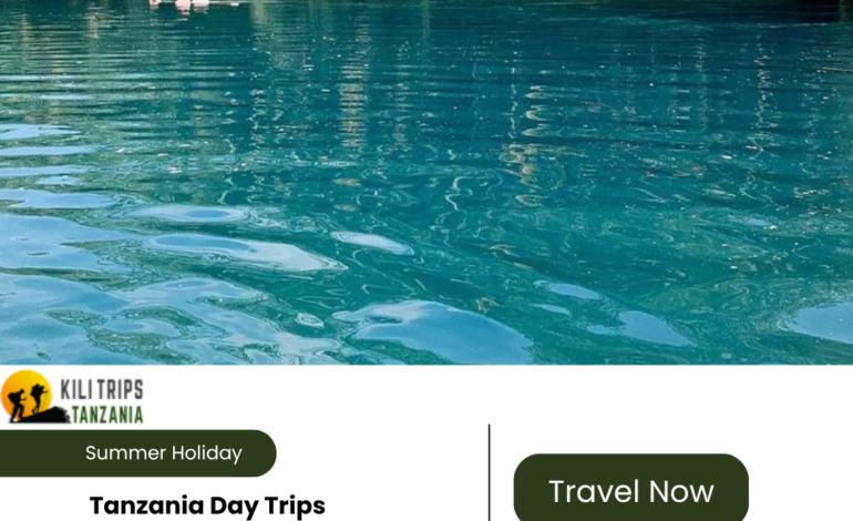 Tanzania Day Trips: Explore Big Adventures in a Single Day