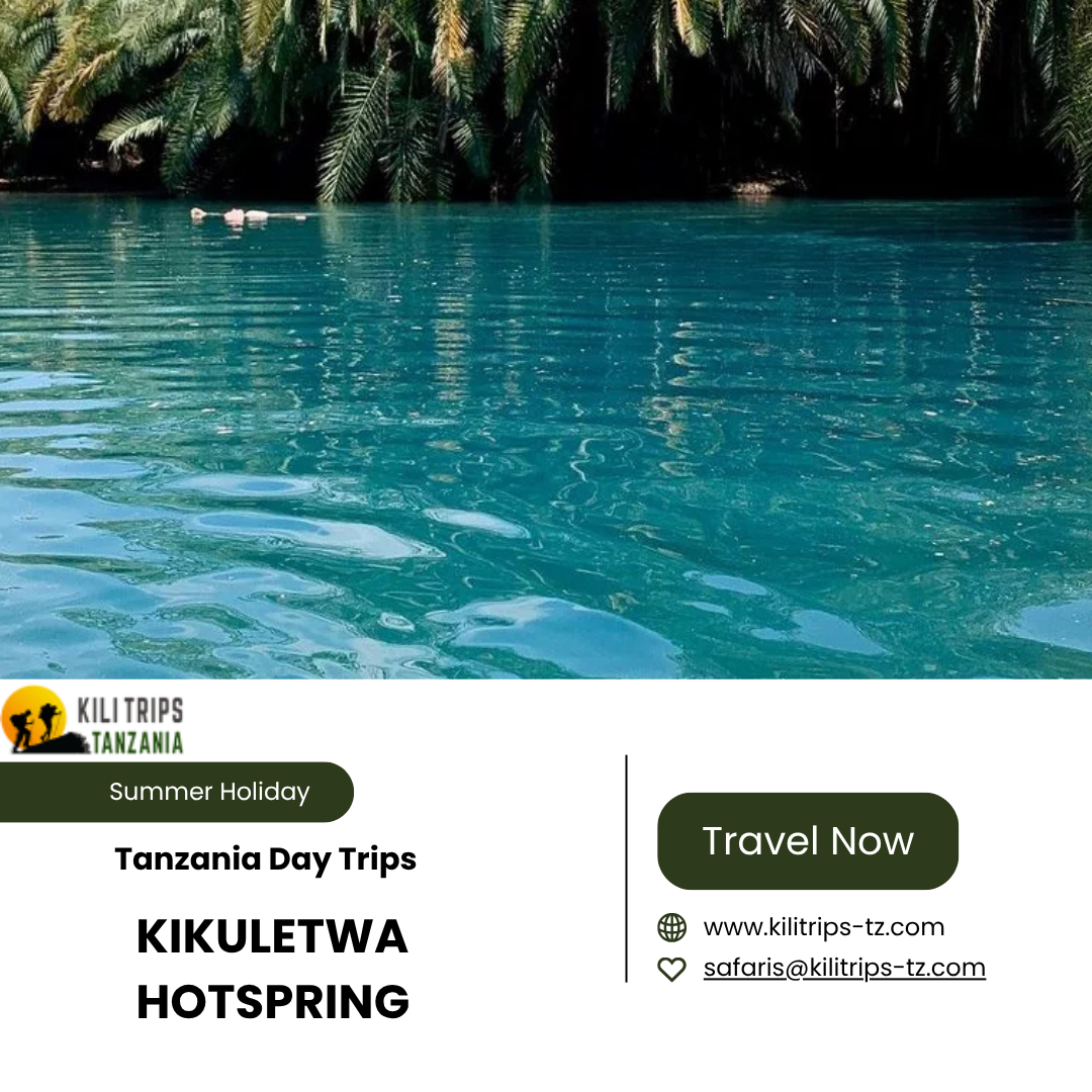 Tanzania Day Trips: Explore Big Adventures in a Single Day