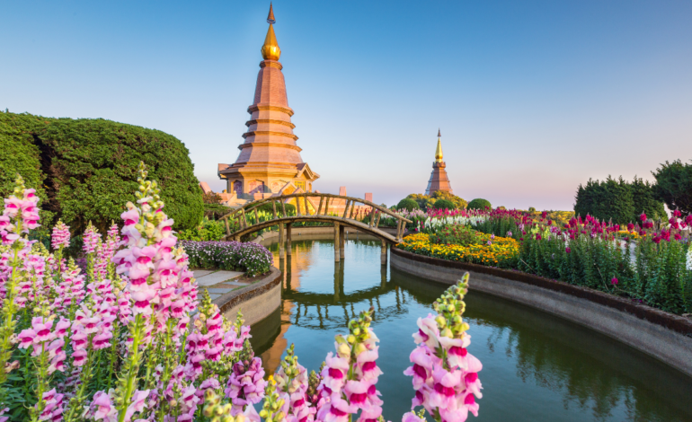 Why Creative Professionals Prefer the Thailand Digital Nomad Visa in 2026