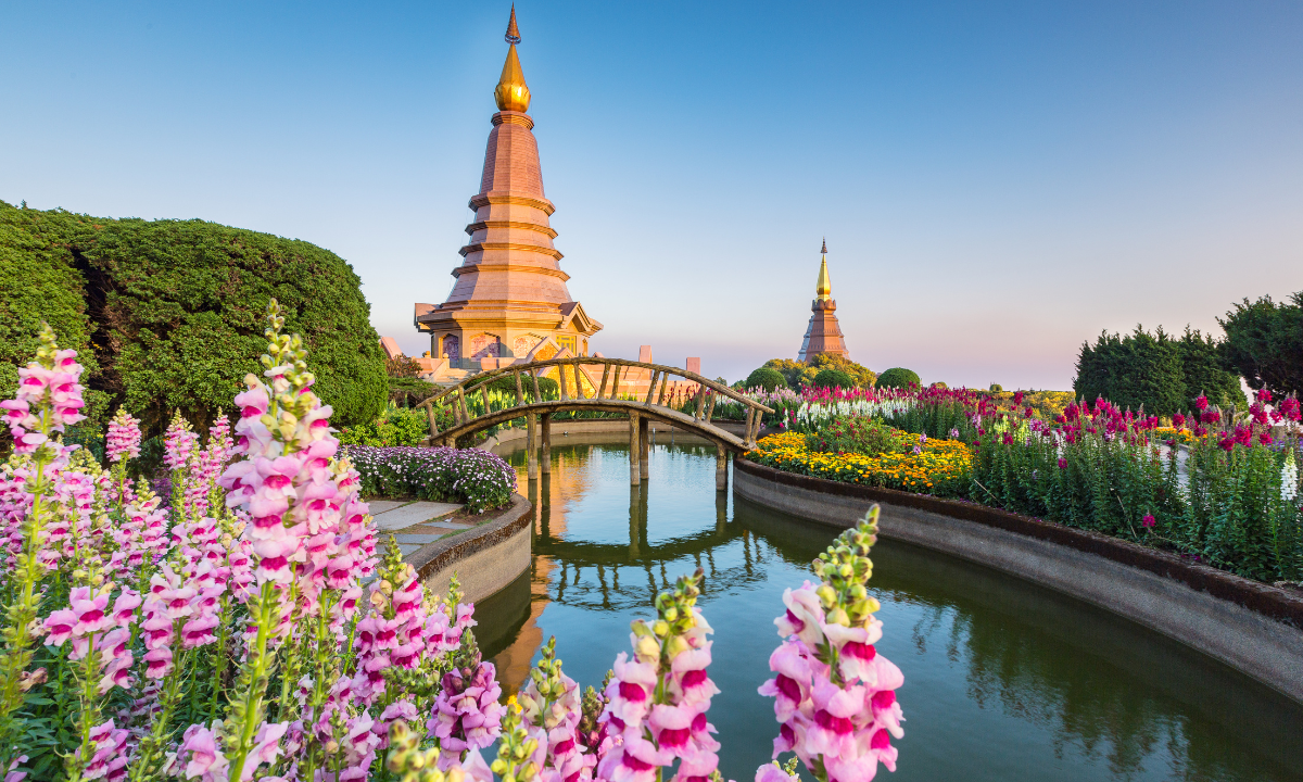 Why Creative Professionals Prefer the Thailand Digital Nomad Visa in 2026