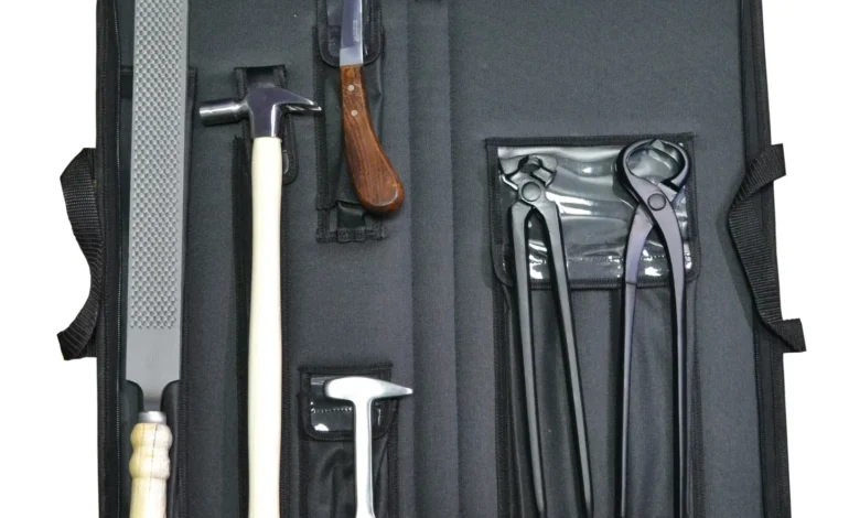 Equine dentistry has evolved rapidly in recent years, with modern tools and technologies improving both the accuracy and safety of dental procedures.
