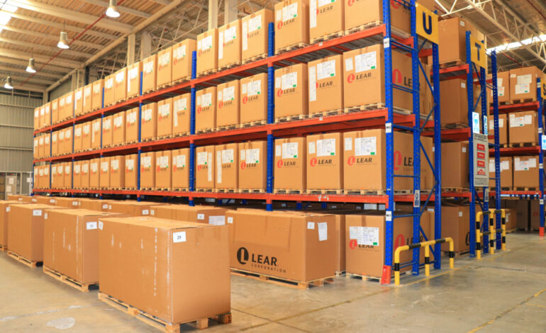 Warehouse Storage Solutions in Dubai