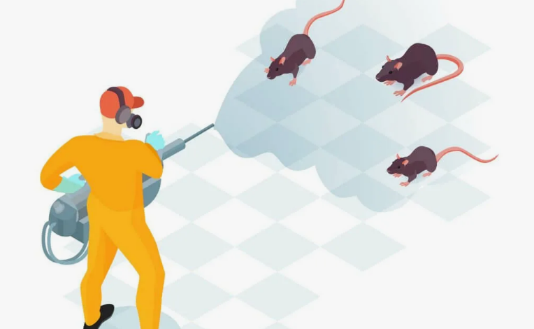 Mouse Killer Spray in Lahore