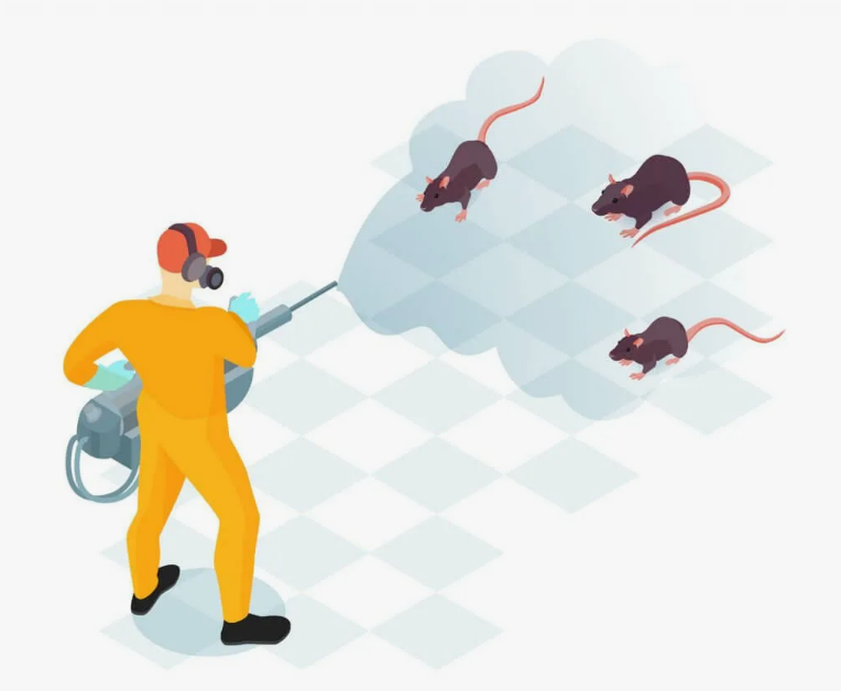 Mouse Killer Spray in Lahore Professional Treatment for Lasting Results