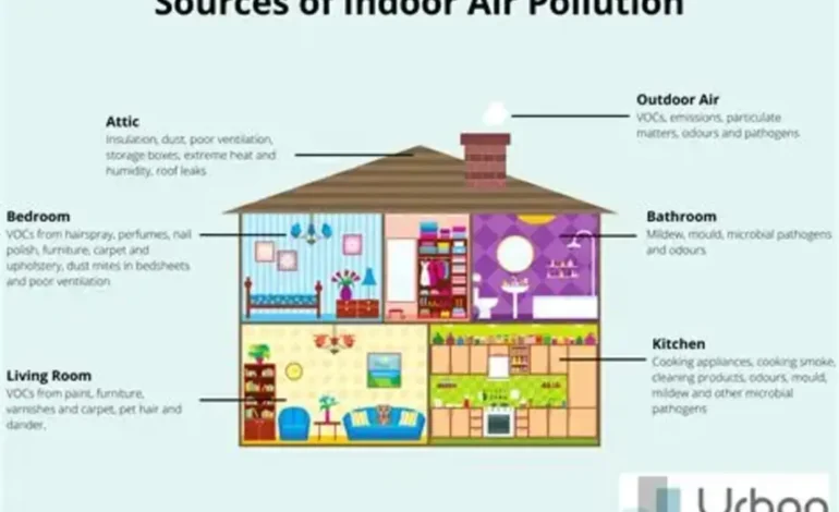 Indoor Air Pollution Explained: Why Your Home’s Air Quality May Be Suffering