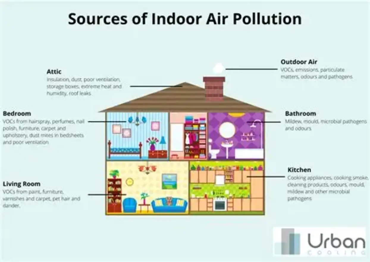 Indoor Air Pollution Explained: Why Your Home’s Air Quality May Be Suffering