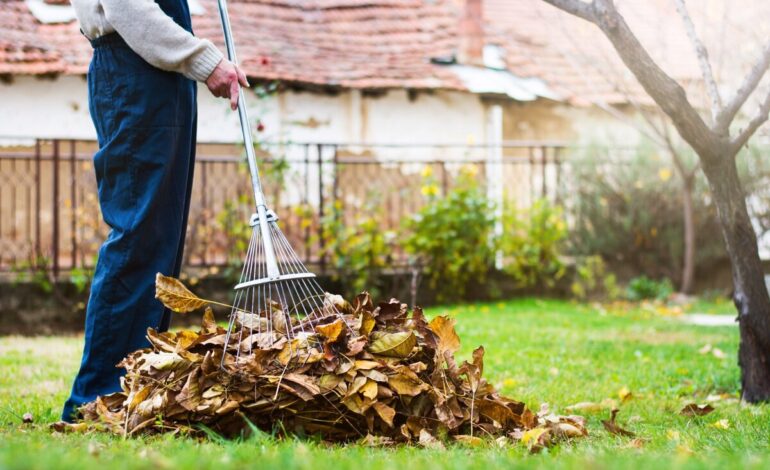 Seasonal Garden Cleaning Tips for UAE Homes