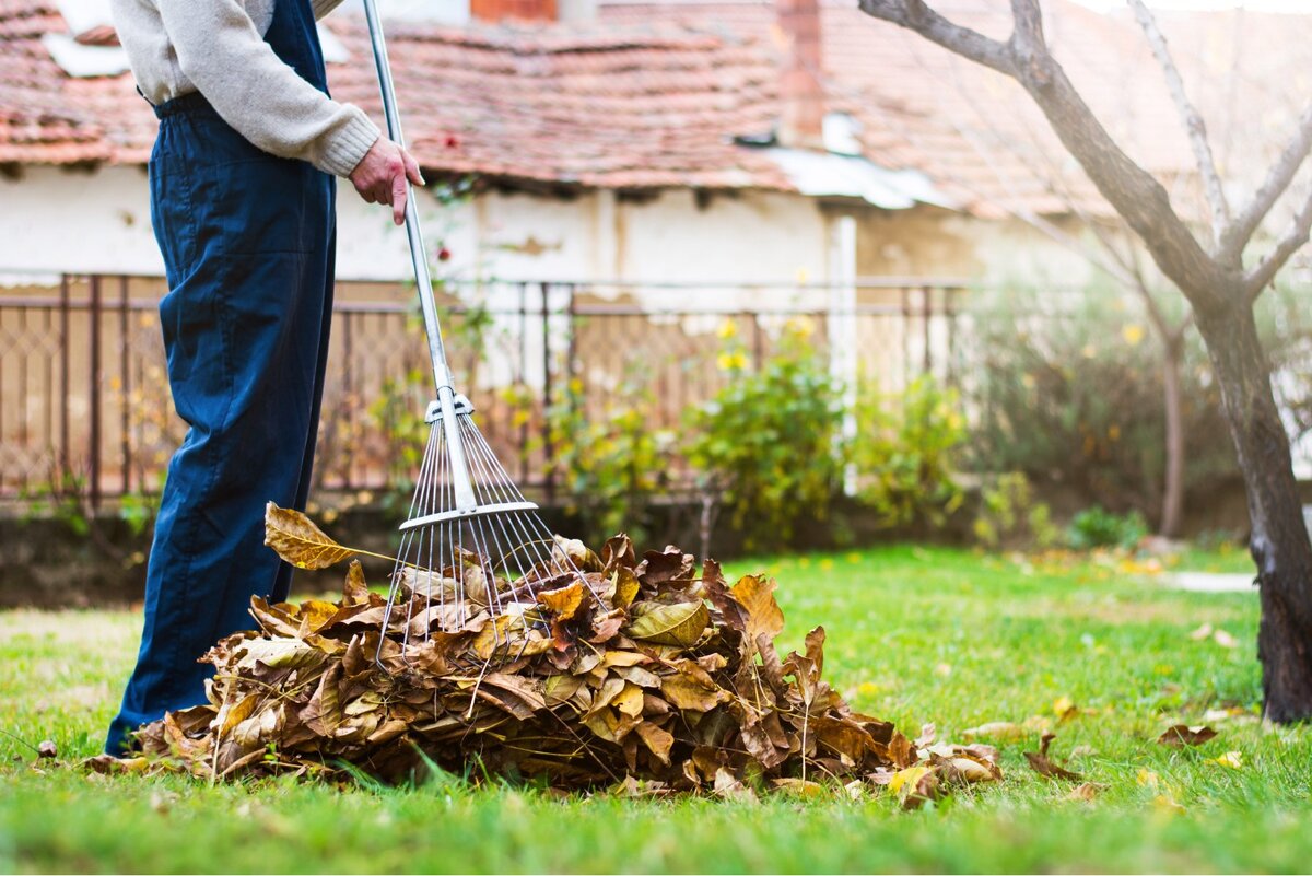 Seasonal Garden Cleaning Tips for UAE Homes
