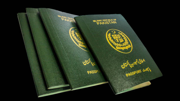 Hence, the value of professional pakistan tourism visa services to travellers today is nothing but a game-changer. We want your trip to Pakistan to be stress-free and pleasurable from the get-go at Pakistan Visa!