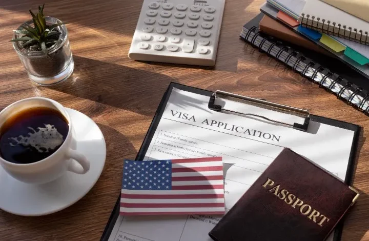 How does a Visa Consultant Help You obtain A USA visa In A Limited Time?