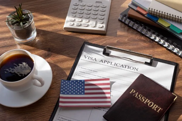 How does a Visa Consultant Help You obtain A USA visa In A Limited Time?