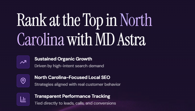 Best SEO Agency for Ecommerce: Why MD Astra Leads Online Store Growth