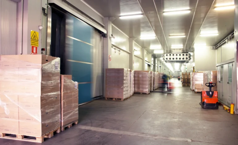 How Commercial Warehouse Freezer Rooms Boost Cold Storage?