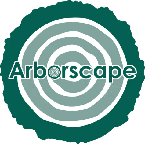 Trusted Tree Surgeon Workington for Safe and Reliable Tree Care | Arborscape