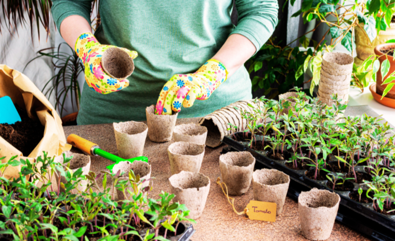 Gardening