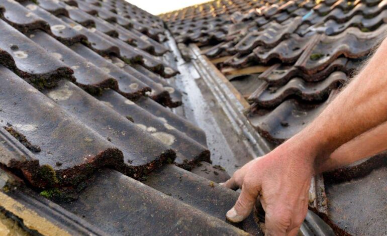 7 Signs It’s Time to Replace Your Roof Instead of Repairing It